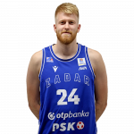 Player Dario Drežnjak