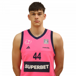 Player Dušan Tanasković