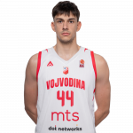 Player Dušan Tanasković