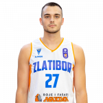 Player Milutin Vujičić
