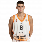 Player Jan Zemljič