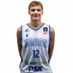 Player Niko Šare