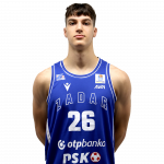 Player Vice Grbić