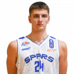 Player Zinedin Mulić