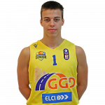 Player Milutin Vidić