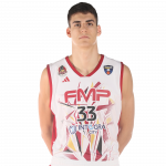 Player Petar Ostojić