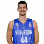 Player Đorđe Otašević