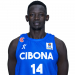 Player Peter Jok