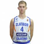 Player Radivoje Stanojčić