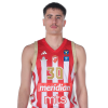 Player Andrej Bjelić