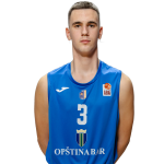 Player Nikola Vujačić