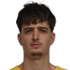 Player Filip Horvat