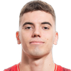 Player Luka Jovičić