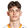 Player Nik Šetina