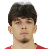 Player Matija Popović