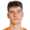 Player Anej Orel