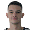 Player Nemanja Nikolić