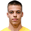 Player Milutin Vidić