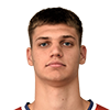 Player Pavle Nikolić