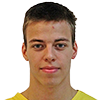 Player Milutin Vidić