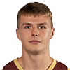 Player Elmir Džafić