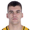Player Matej Bošnjak