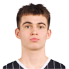 Player Darius Paul Miron